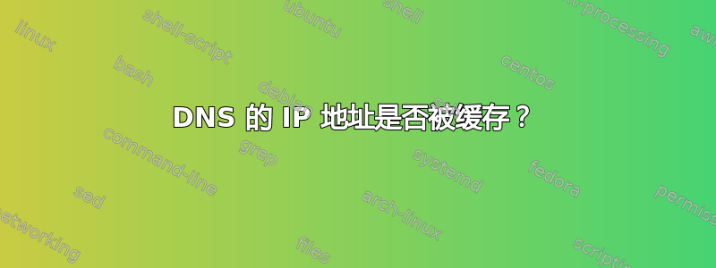 DNS 的 IP 地址是否被缓存？