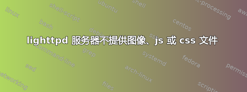 lighttpd 服务器不提供图像、js 或 css 文件