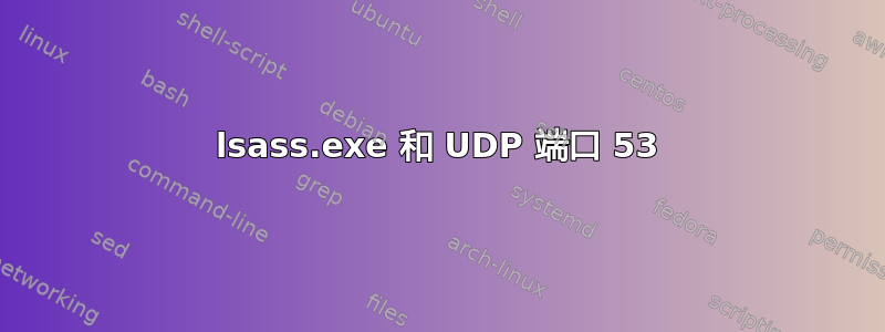 lsass.exe 和 UDP 端口 53