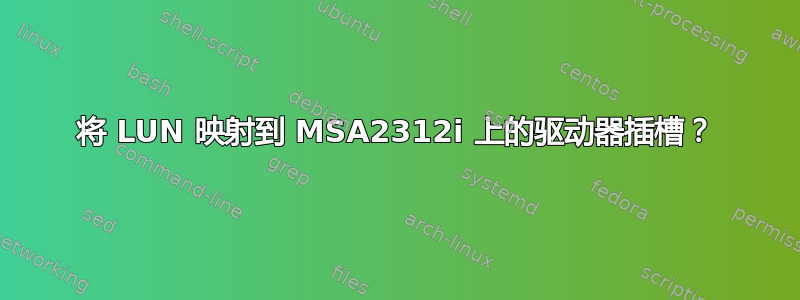 将 LUN 映射到 MSA2312i 上的驱动器插槽？