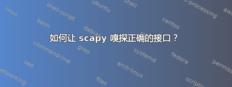 如何让 scapy 嗅探正确的接口？