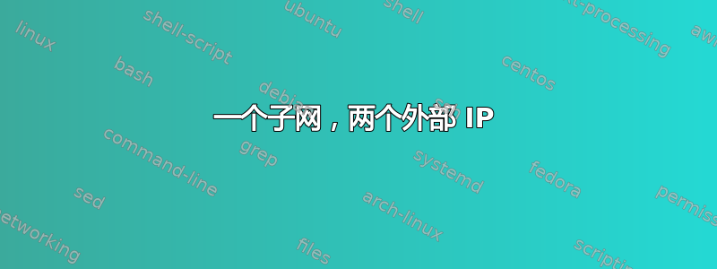 一个子网，两个外部 IP