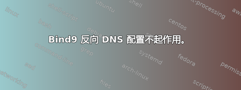 Bind9 反向 DNS 配置不起作用。