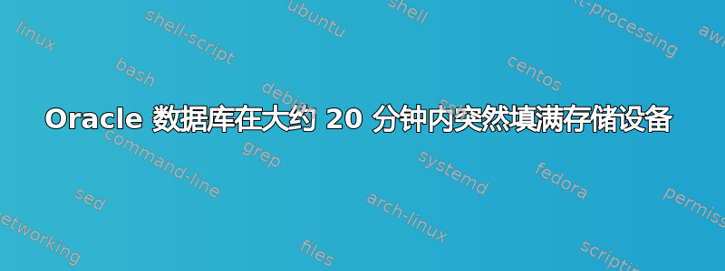 Oracle 数据库在大约 20 分钟内突然填满存储设备