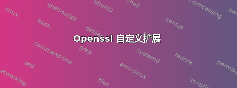 Openssl 自定义扩展