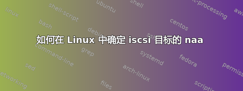 如何在 Linux 中确定 iscsi 目标的 naa