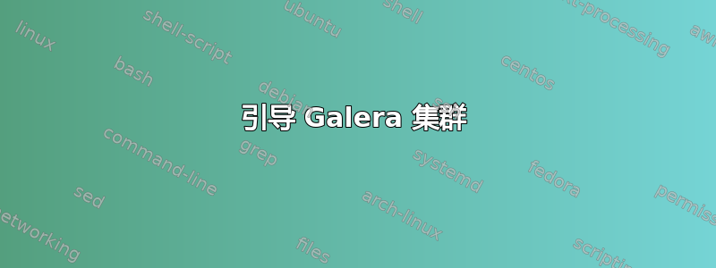 引导 Galera 集群