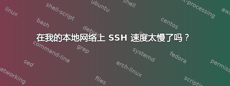 在我的本地网络上 SSH 速度太慢了吗？