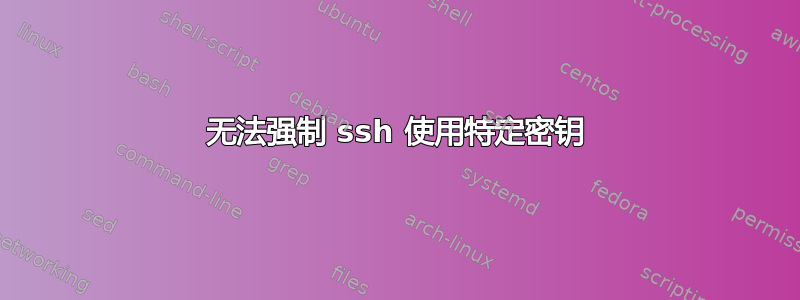 无法强制 ssh 使用特定密钥