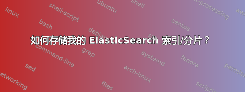 如何存储我的 ElasticSearch 索引/分片？