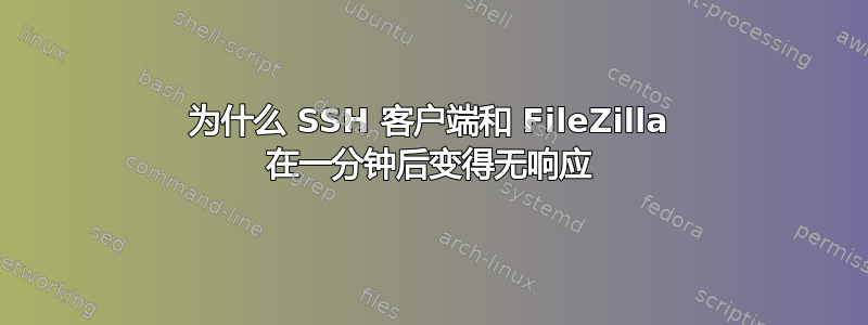 为什么 SSH 客户端和 FileZilla 在一分钟后变得无响应