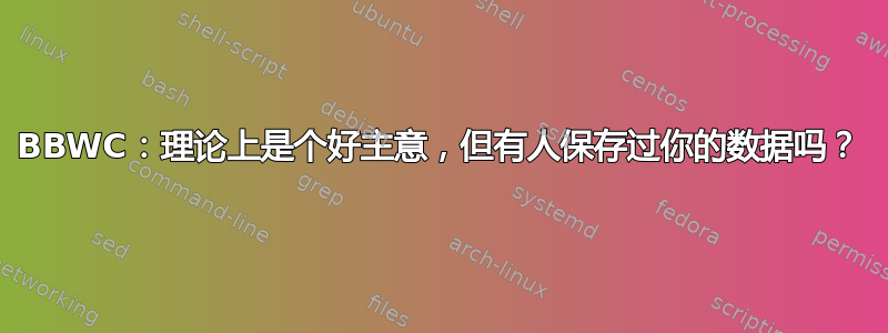 BBWC：理论上是个好主意，但有人保存过你的数据吗？