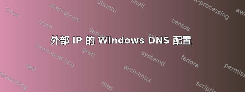 外部 IP 的 Windows DNS 配置