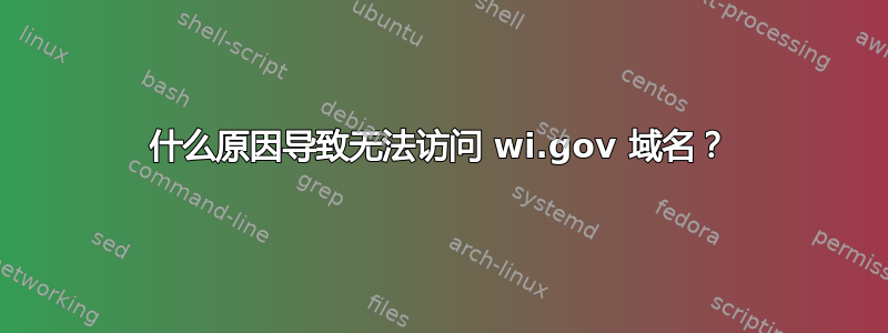 什么原因导致无法访问 wi.gov 域名？