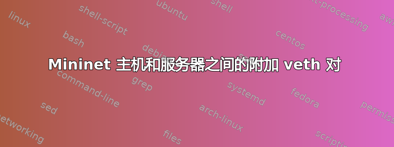 Mininet 主机和服务器之间的附加 veth 对