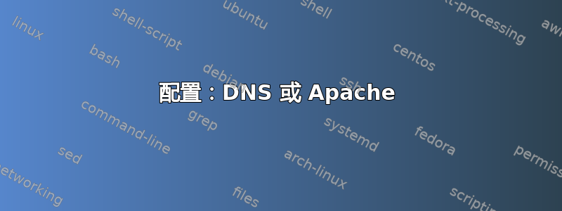 配置：DNS 或 Apache