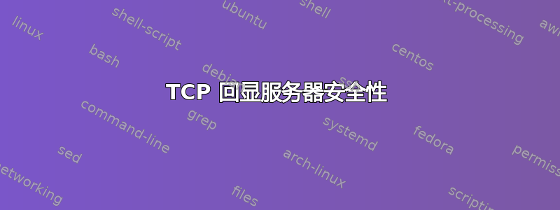 TCP 回显服务器安全性