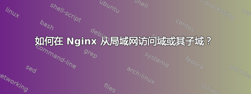 如何在 Nginx 从局域网访问域或其子域？