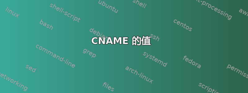 CNAME 的值 