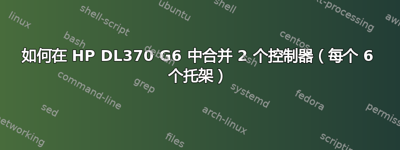 如何在 HP DL370 G6 中合并 2 个控制器（每个 6 个托架）