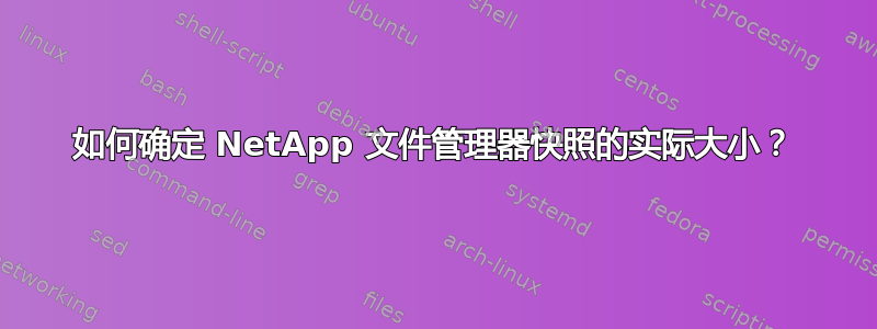 如何确定 NetApp 文件管理器快照的实际大小？