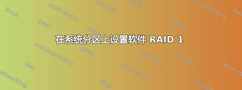 在系统分区上设置软件 RAID 1