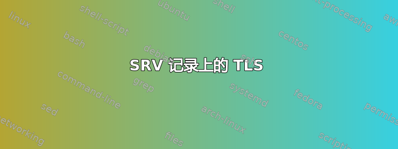 SRV 记录上的 TLS