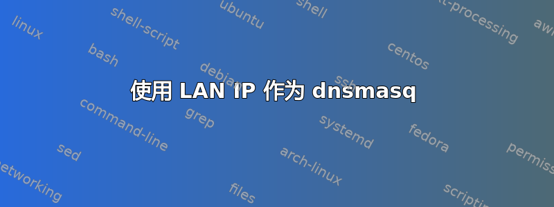 使用 LAN IP 作为 dnsmasq