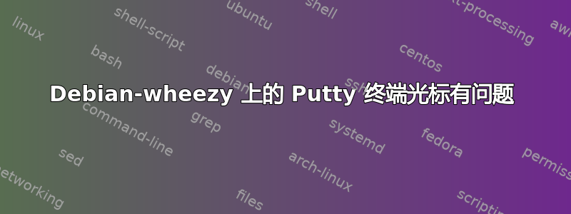 Debian-wheezy 上的 Putty 终端光标有问题