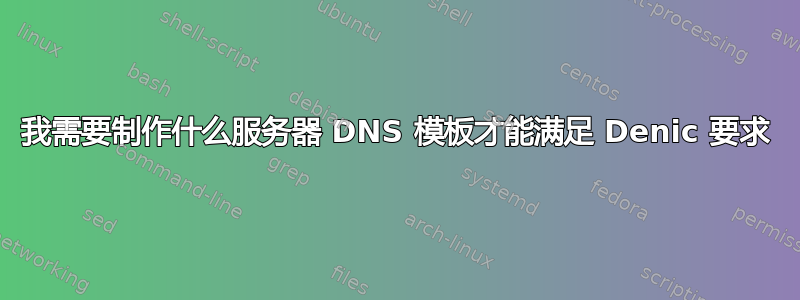 我需要制作什么服务器 DNS 模板才能满足 Denic 要求