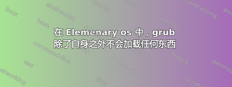 在 Elemenary os 中，grub 除了自身之外不会加载任何东西