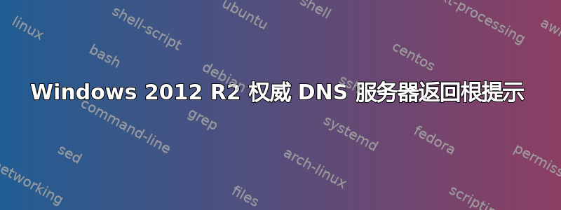 Windows 2012 R2 权威 DNS 服务器返回根提示