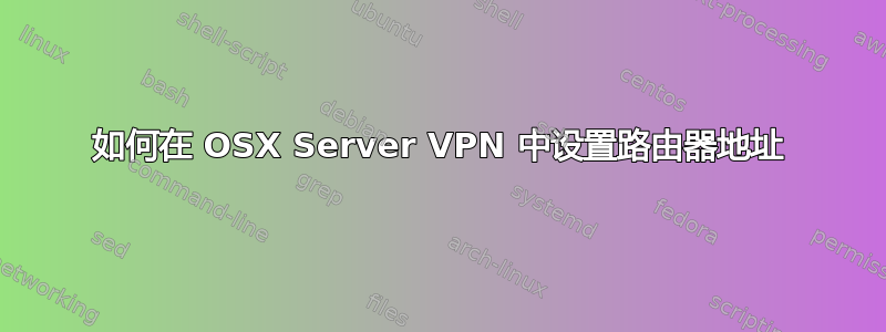 如何在 OSX Server VPN 中设置路由器地址