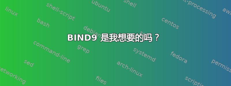 BIND9 是我想要的吗？