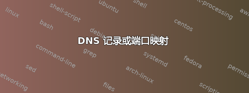 DNS 记录或端口映射