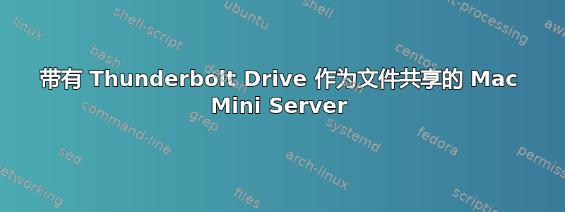 带有 Thunderbolt Drive 作为文件共享的 Mac Mini Server