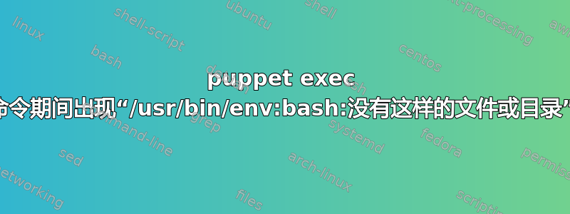 puppet exec 命令期间出现“/usr/bin/env:bash:没有这样的文件或目录”