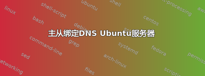 主从绑定DNS Ubuntu服务器