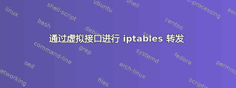 通过虚拟接口进行 iptables 转发