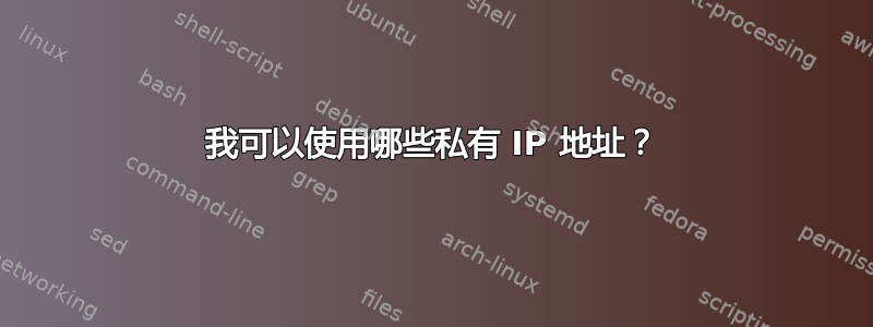 我可以使用哪些私有 IP 地址？