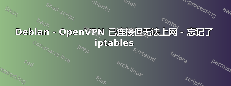 Debian - OpenVPN 已连接但无法上网 - 忘记了 iptables