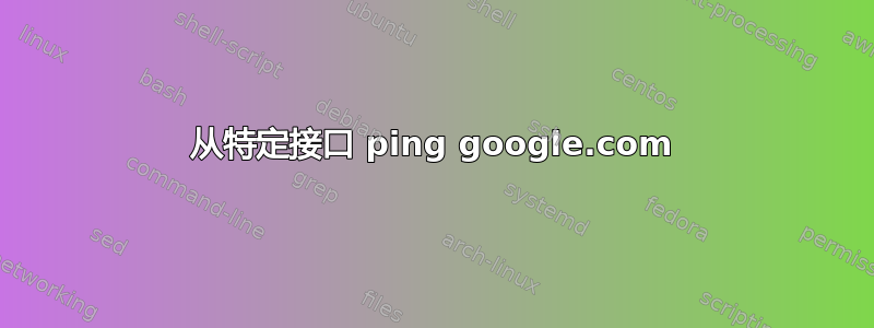 从特定接口 ping google.com