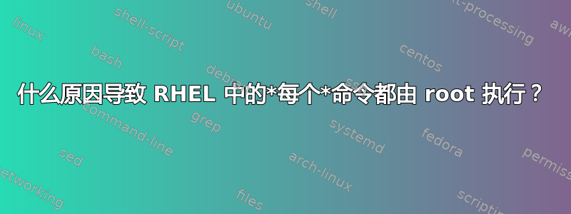 什么原因导致 RHEL 中的*每个*命令都由 root 执行？