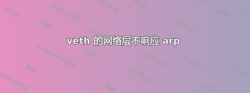 veth 的网络层不响应 arp