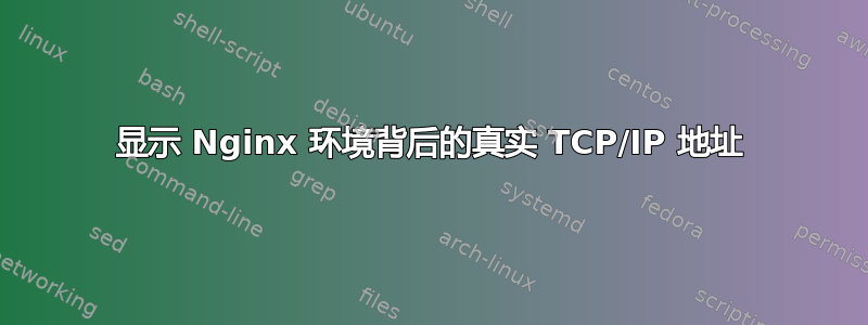 显示 Nginx 环境背后的真实 TCP/IP 地址