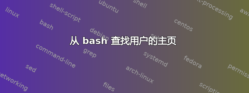 从 bash 查找用户的主页