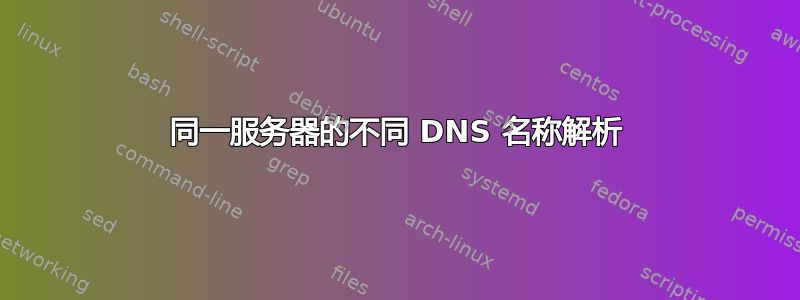 同一服务器的不同 DNS 名称解析