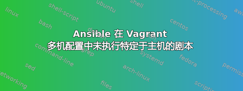 Ansible 在 Vagrant 多机配置中未执行特定于主机的剧本