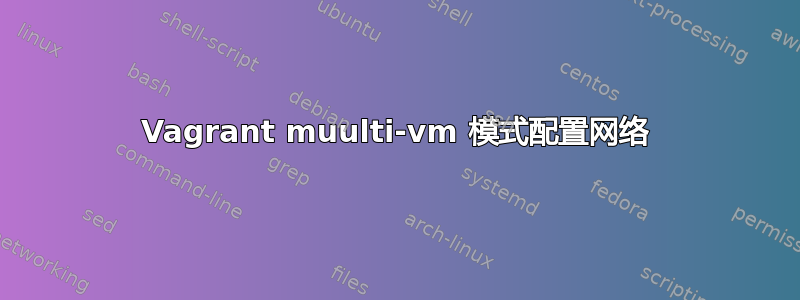 Vagrant muulti-vm 模式配置网络