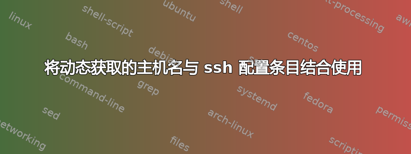 将动态获取的主机名与 ssh 配置条目结合使用